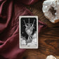 Dark Tarot Destesi – 78 Kartlık Gotik Tarot – Okült Siyah Beyaz Kehanet Kartları – Klasik Rider–Waite Uyumlu – Cadılık ve Gölge Çalışması